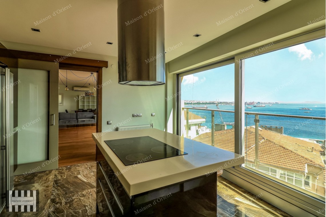 3+1 Flat with Bosphorus View for Rent in Cihangir
