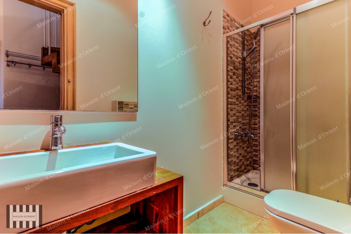 2+1 Duplex with Bosphorus View for Rent in Galata
