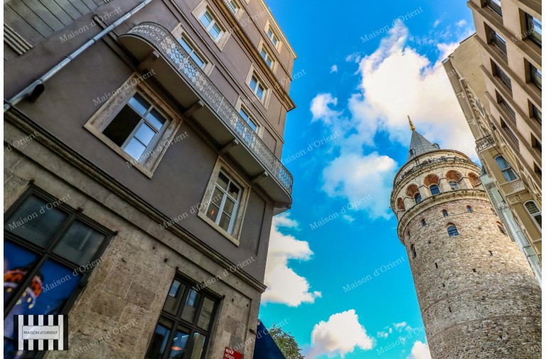 Fully Renovated 1+1 Flat for Rent in Galata Tower Square