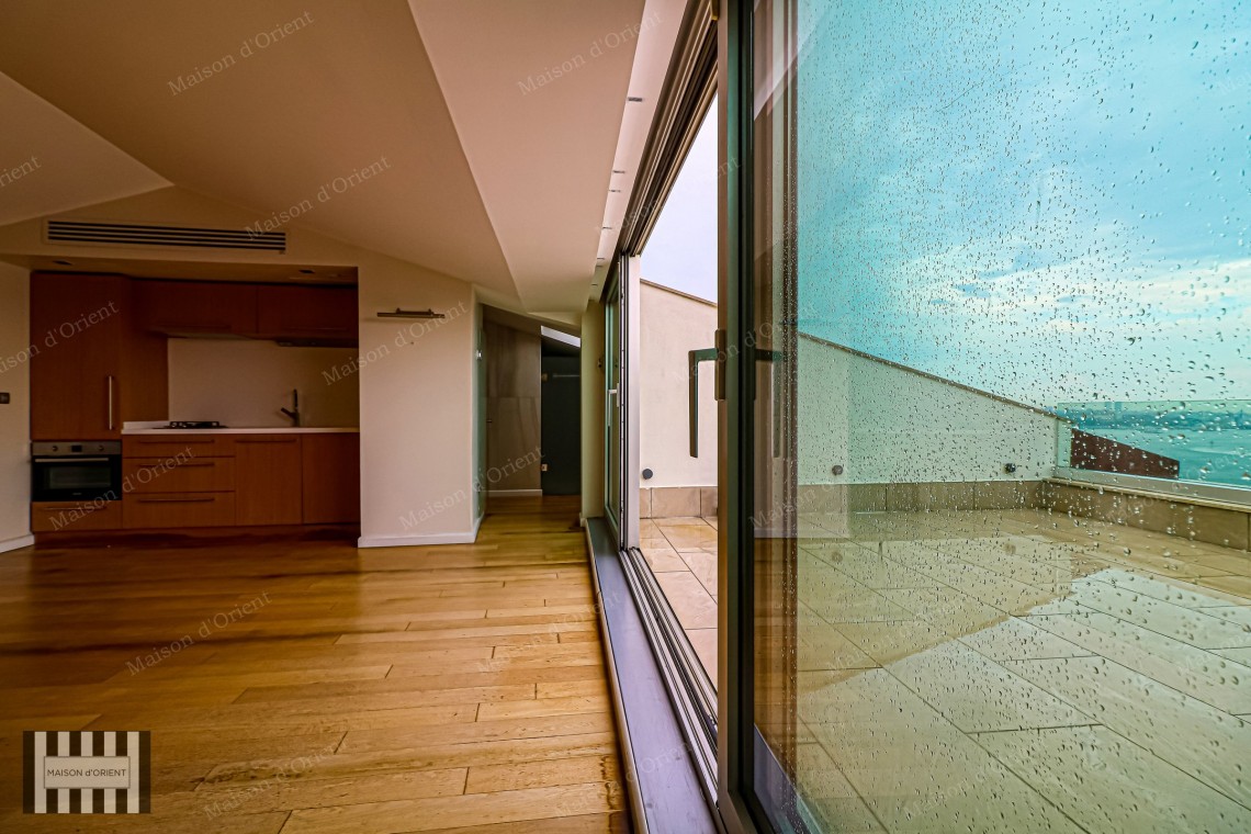 1+1 Apartment with Bosphorus View and Terrace for Rent in Cihangir