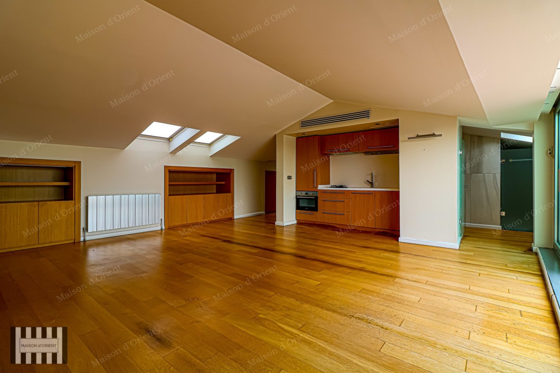 1+1 Apartment with Bosphorus View and Terrace for Rent in Cihangir