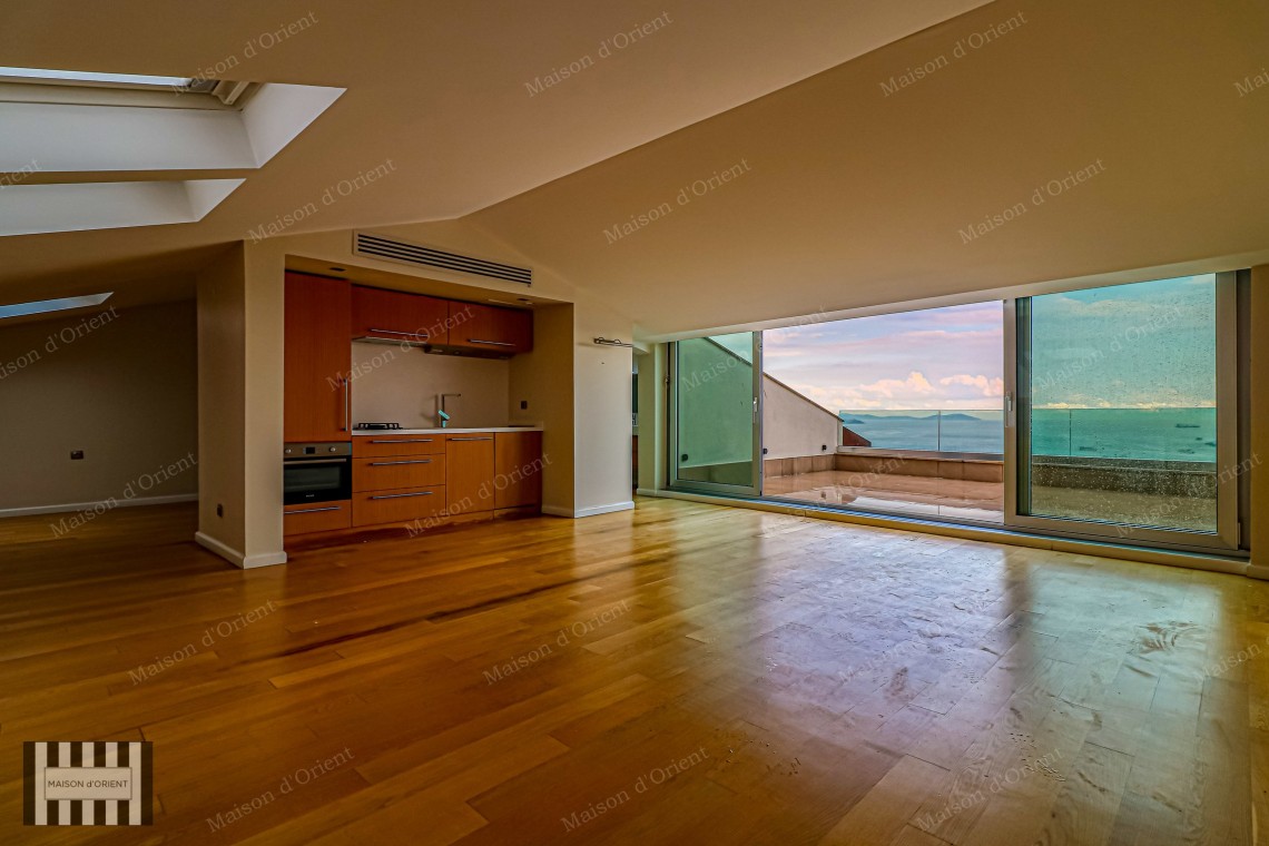 1+1 Apartment with Bosphorus View and Terrace for Rent in Cihangir