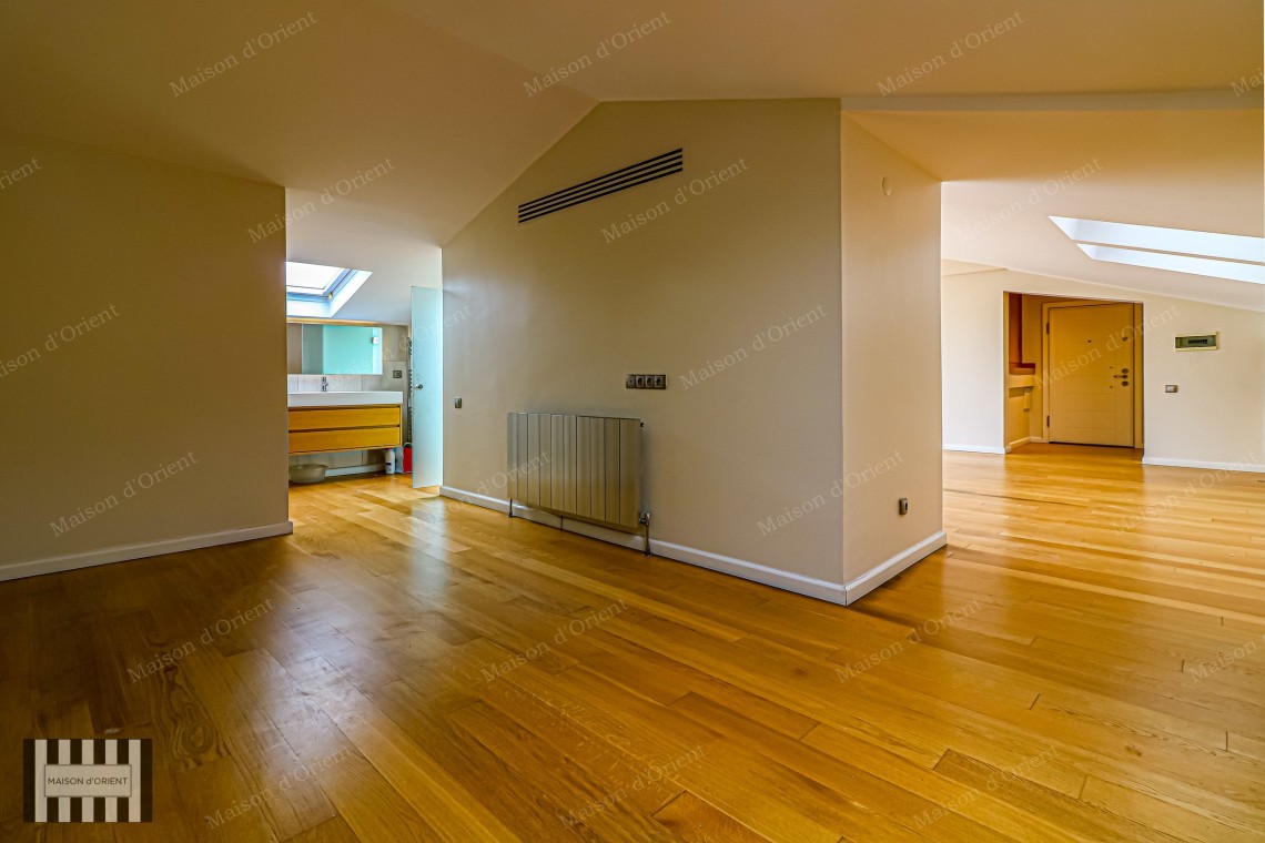 1+1 Apartment with Bosphorus View and Terrace for Rent in Cihangir
