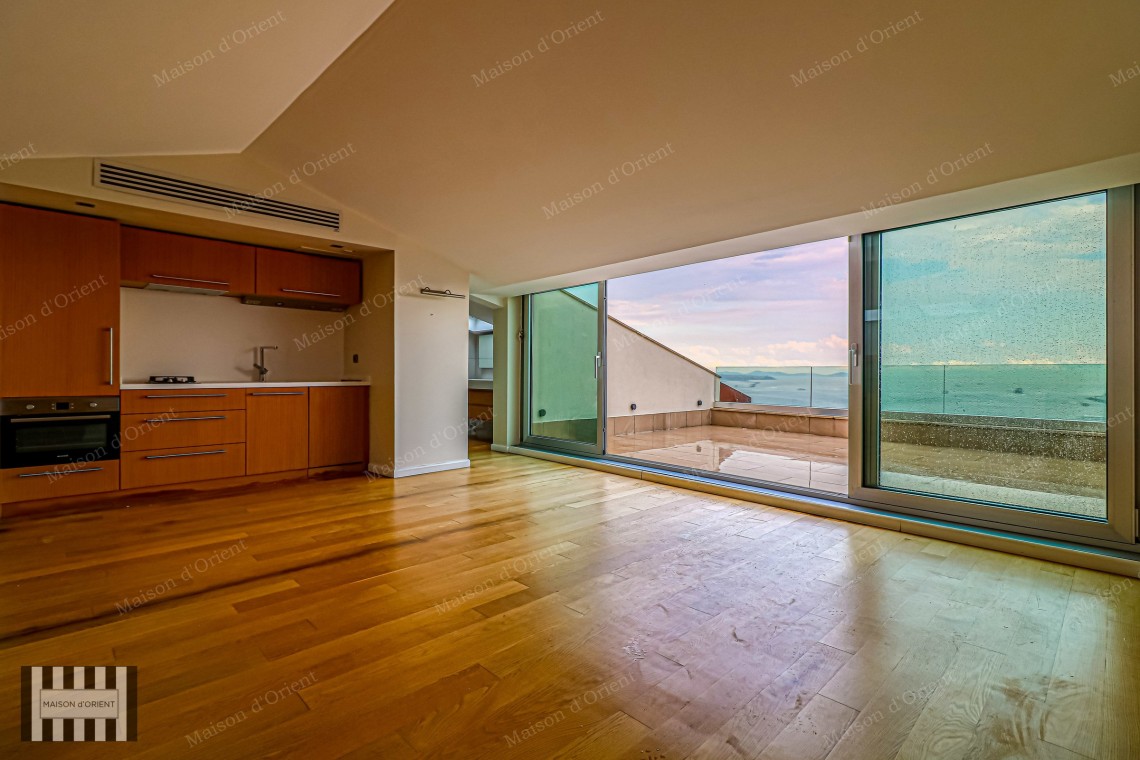 1+1 Apartment with Bosphorus View and Terrace for Rent in Cihangir