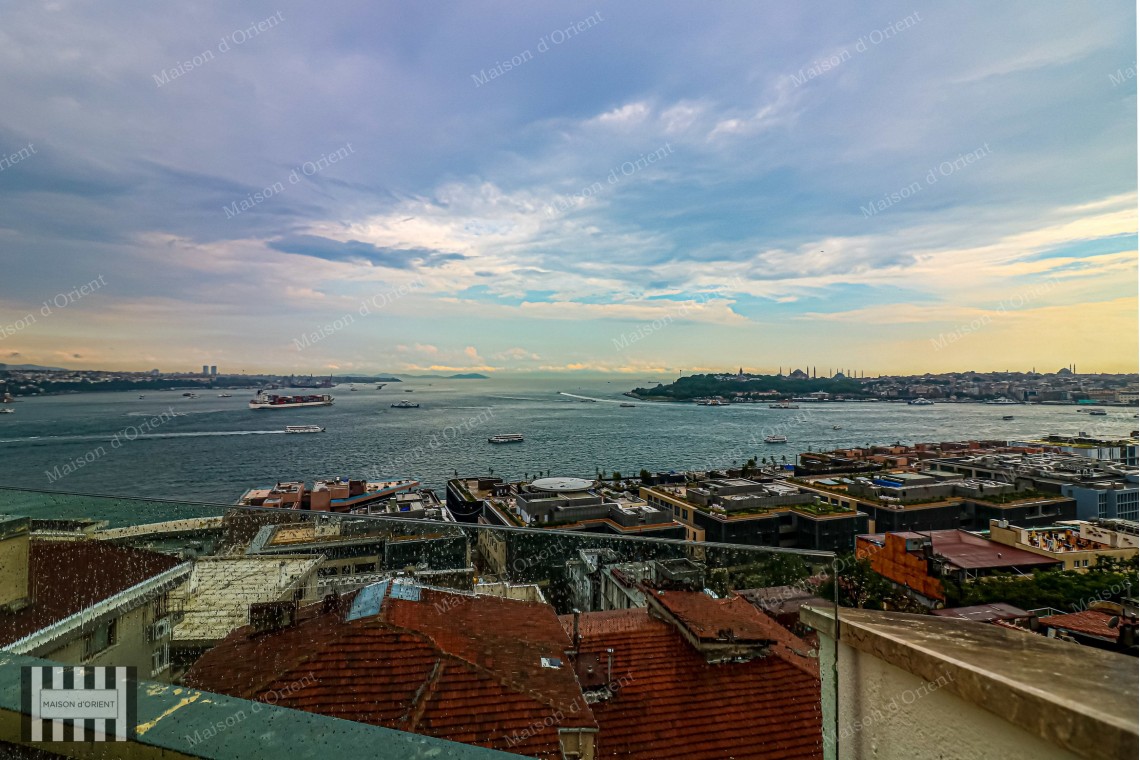1+1 Apartment with Bosphorus View and Terrace for Rent in Cihangir