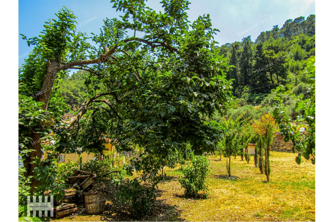 Three Greek Houses in Historic Pagondas Village, Samos