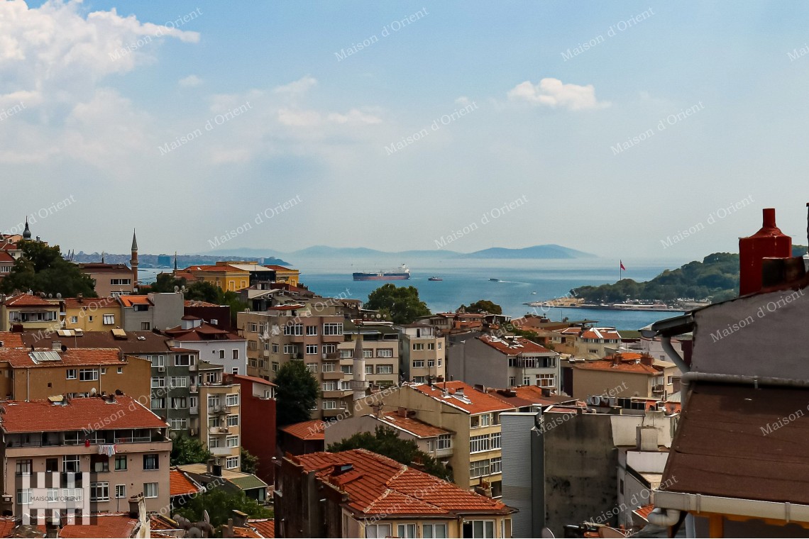 3+1 Triplex Apartment for Rent in Galata Residence