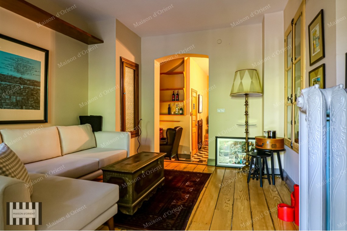 1+1 Furnished Duplex for Rent with Winter Garden in Galata