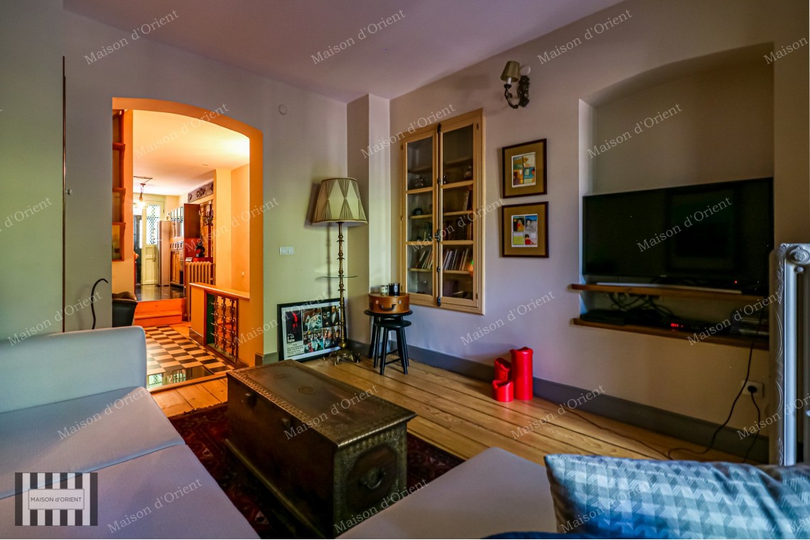 1+1 Furnished Duplex for Rent with Winter Garden in Galata