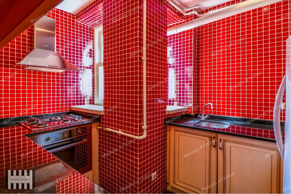 2+1 Duplex with Garden for Rent in Historical Pamir Bey Building