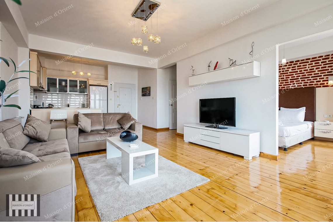 1+1 Furnished Rental Flat with Bosphorus View in Galata