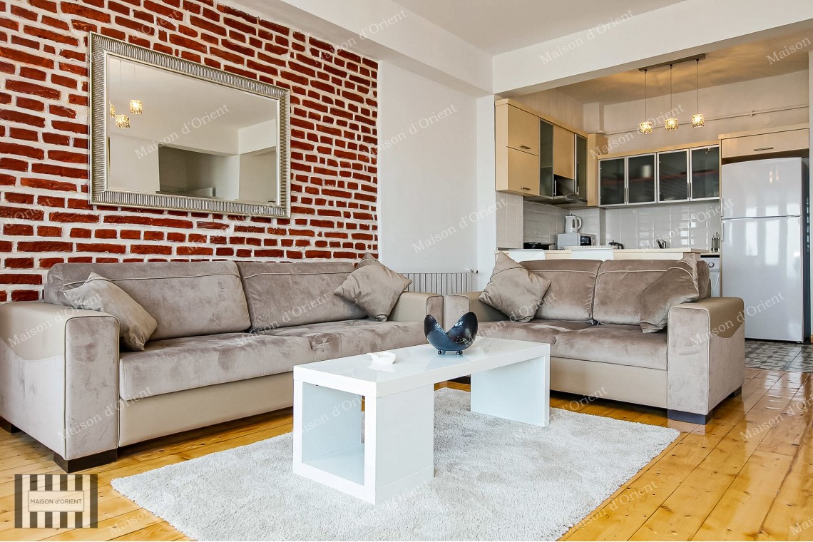 1+1 Furnished Rental Flat with Bosphorus View in Galata