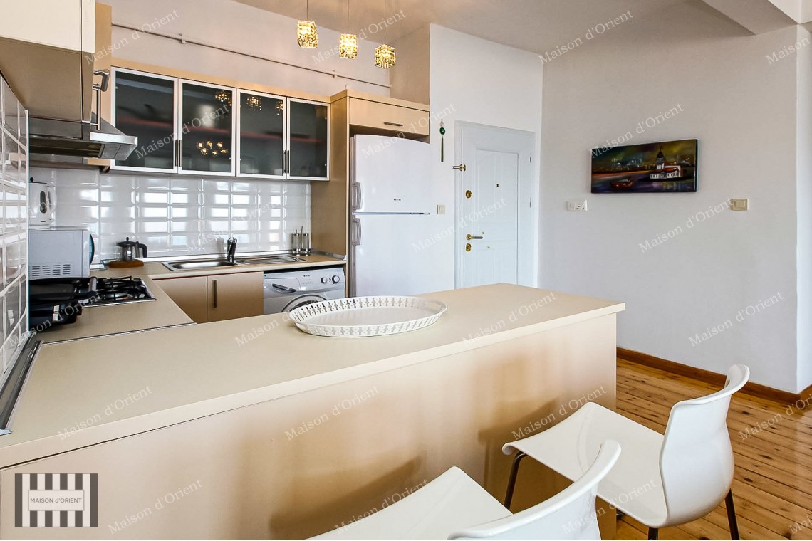 1+1 Furnished Rental Flat with Bosphorus View in Galata