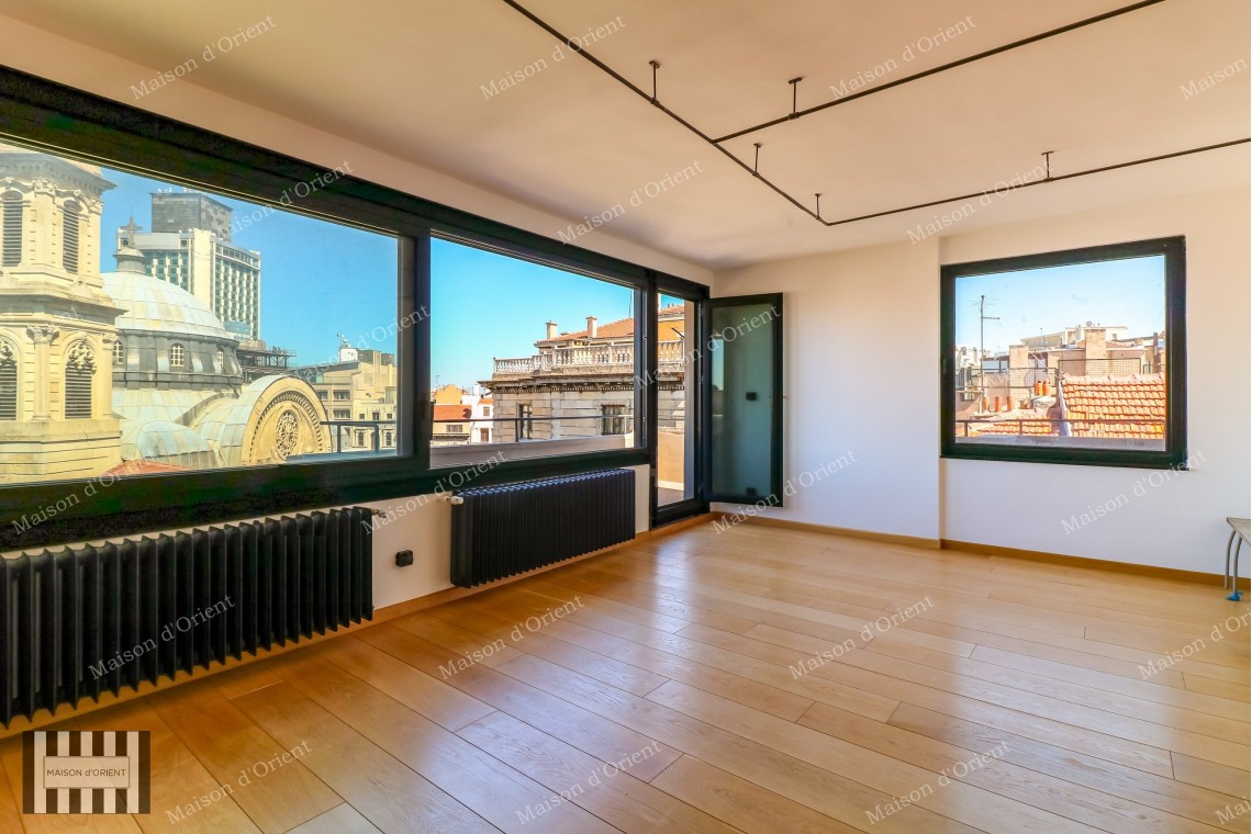 Fully Renovated 2+1 Rental Flat in Taksim
