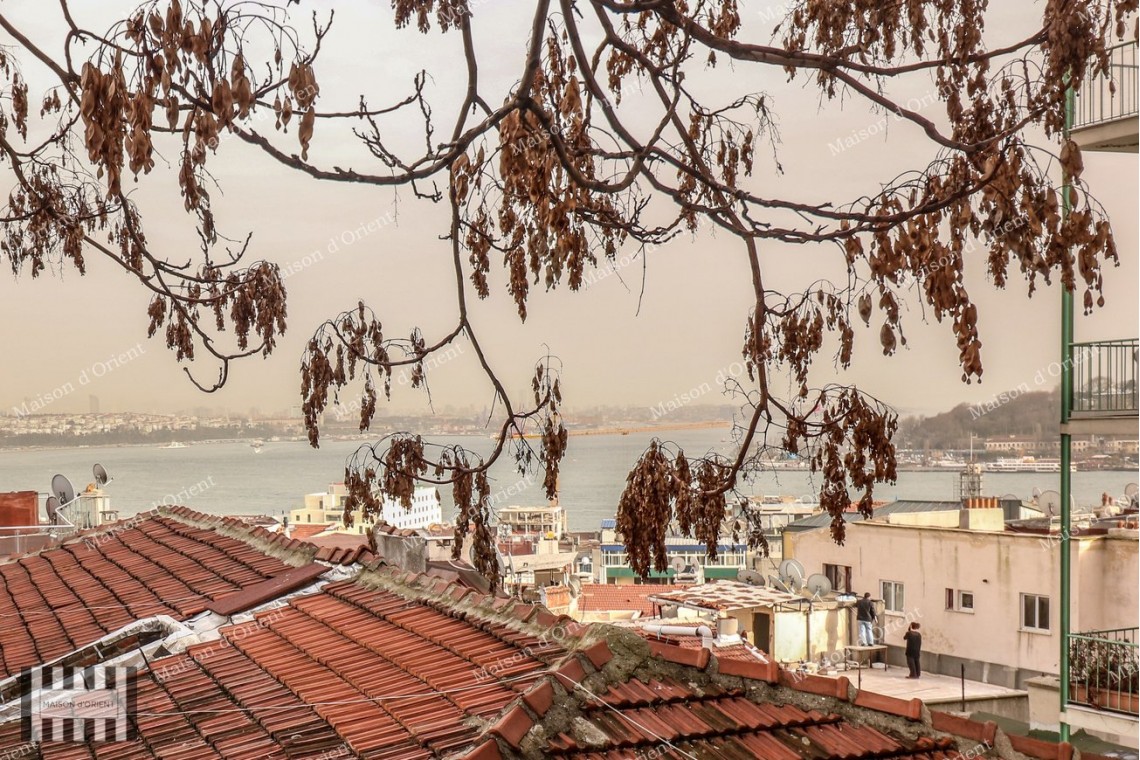  2+1 Flat for Sale with Balcony and View in Galata Historical Building