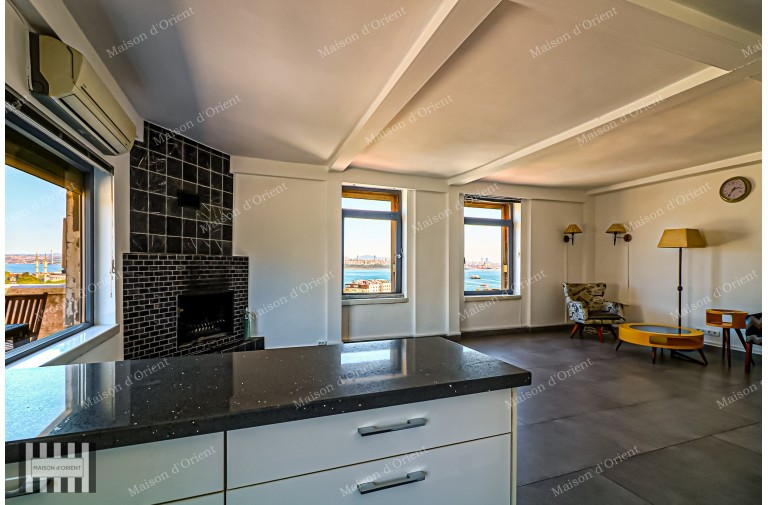 1+1 Rental Flat with Terrace and Bosphorus View in Galata