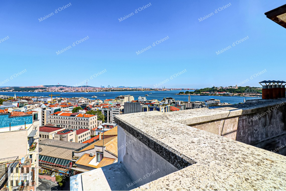 1+1 Rental Flat with Terrace and Bosphorus View in Galata