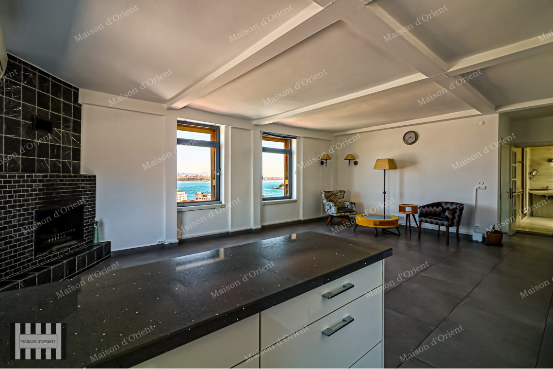 1+1 Rental Flat with Terrace and Bosphorus View in Galata