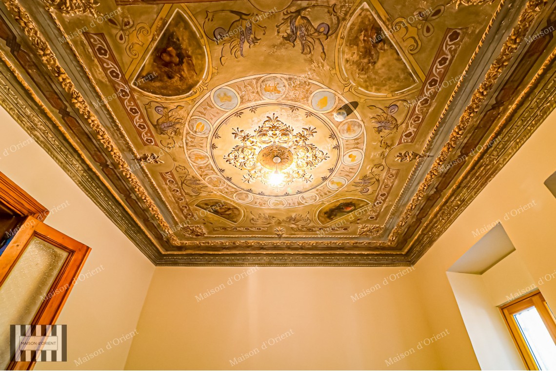 Historical Building with Terrace and View For Sale in Galatasaray 