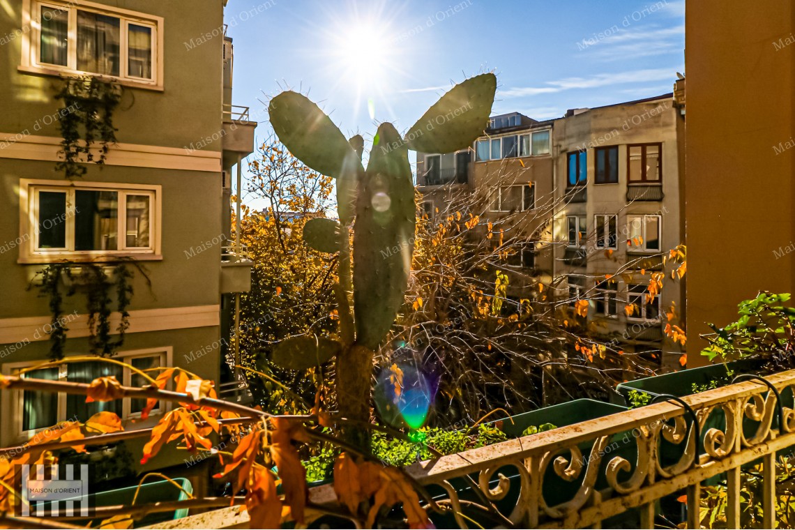 3+1 Apartment for Rent in Galatasaray Historical Ferah Apartment